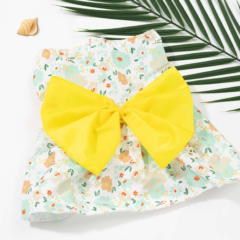 Source Manufacturer Pet Dog Clothing Puppy Print Cartoon Cute Princess Dress Cat Summer Clothes Bamubi