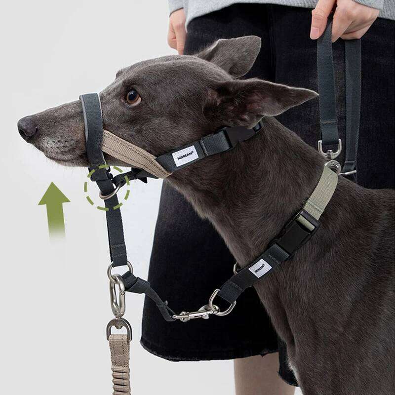 Mouth Anti Barking Bark Collar Dog Adjustable Training Mesh Fabric Explosion-Proof Flushing Control Traction Pet Supplies Bamubi
