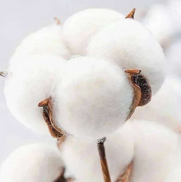 SKZ Felix Graphic Shirt Cotton Crew Neck Women's men T-Shirt Fashion Four Seasons Base Streetwear XJ260306