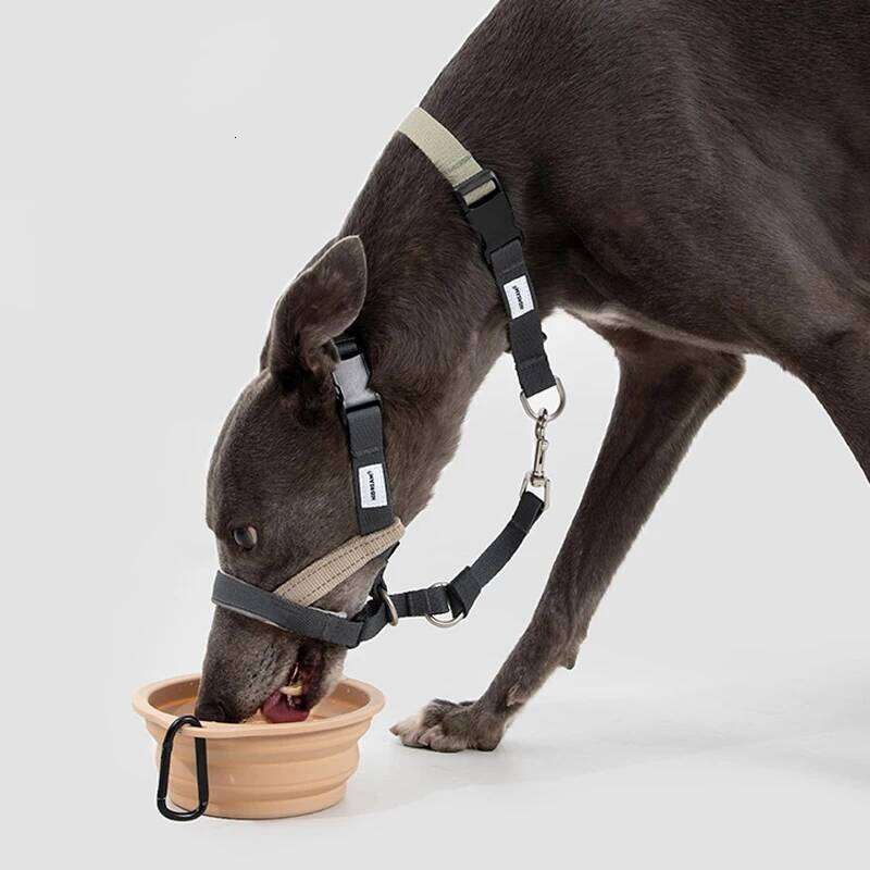 Mouth Anti Barking Bark Collar Dog Adjustable Training Mesh Fabric Explosion-Proof Flushing Control Traction Pet Supplies Bamubi