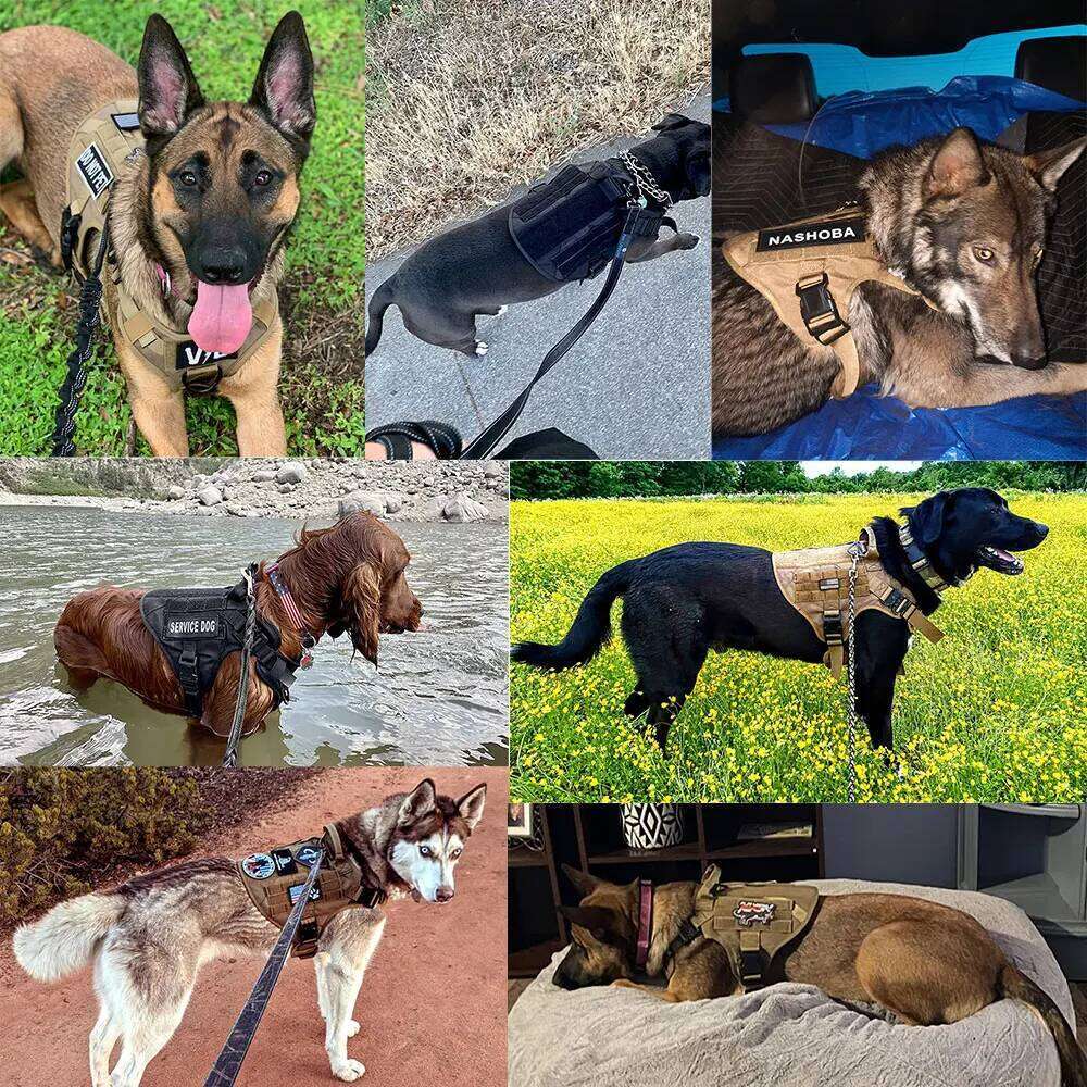 Leash Set Pet German Shepherd Malinois Training Walking Vest Dog Harness And Collar For Medium Large Dogs Bamubi