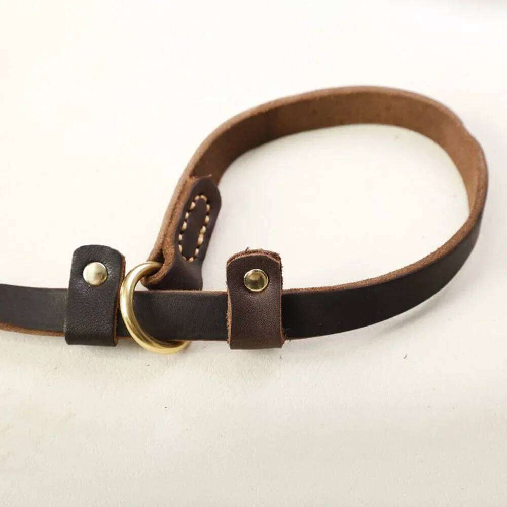 Genuine Leather Slip Rope Strong Heavy Duty Dog No Pull Training Lead Leash Collar For Dogs Bamubi