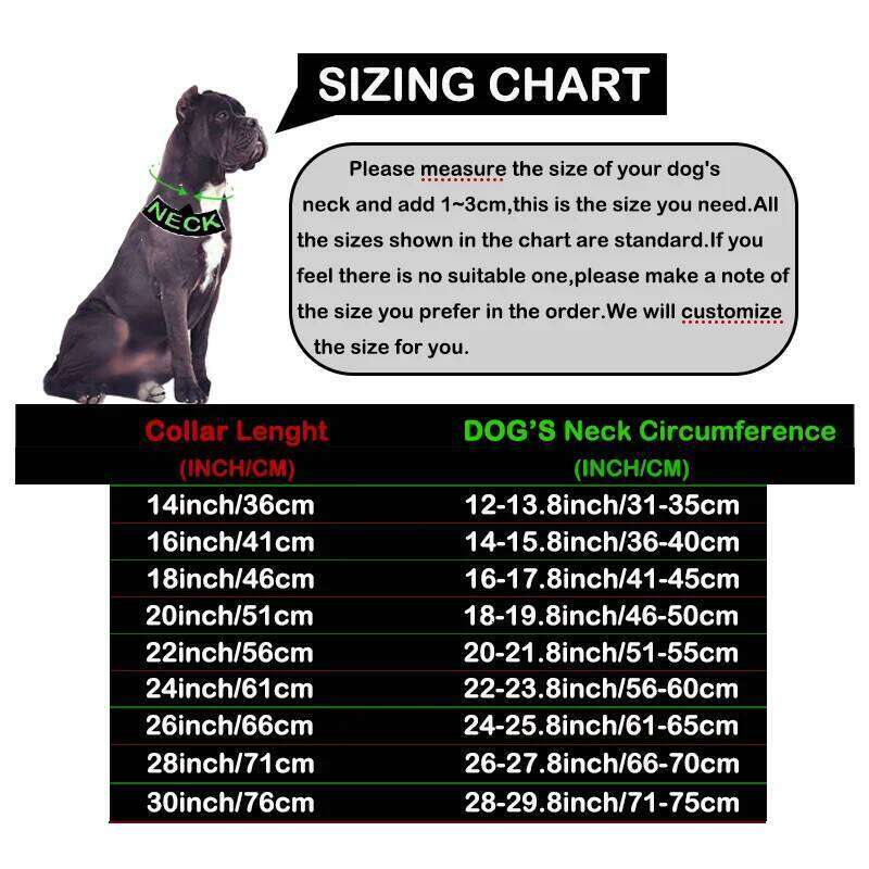 Gold Large Collar 32Mm Stainless Steel Metal Pet Choker For Labrador Rottweiler Cane Corso American Bully Dog Accessories Bamubi