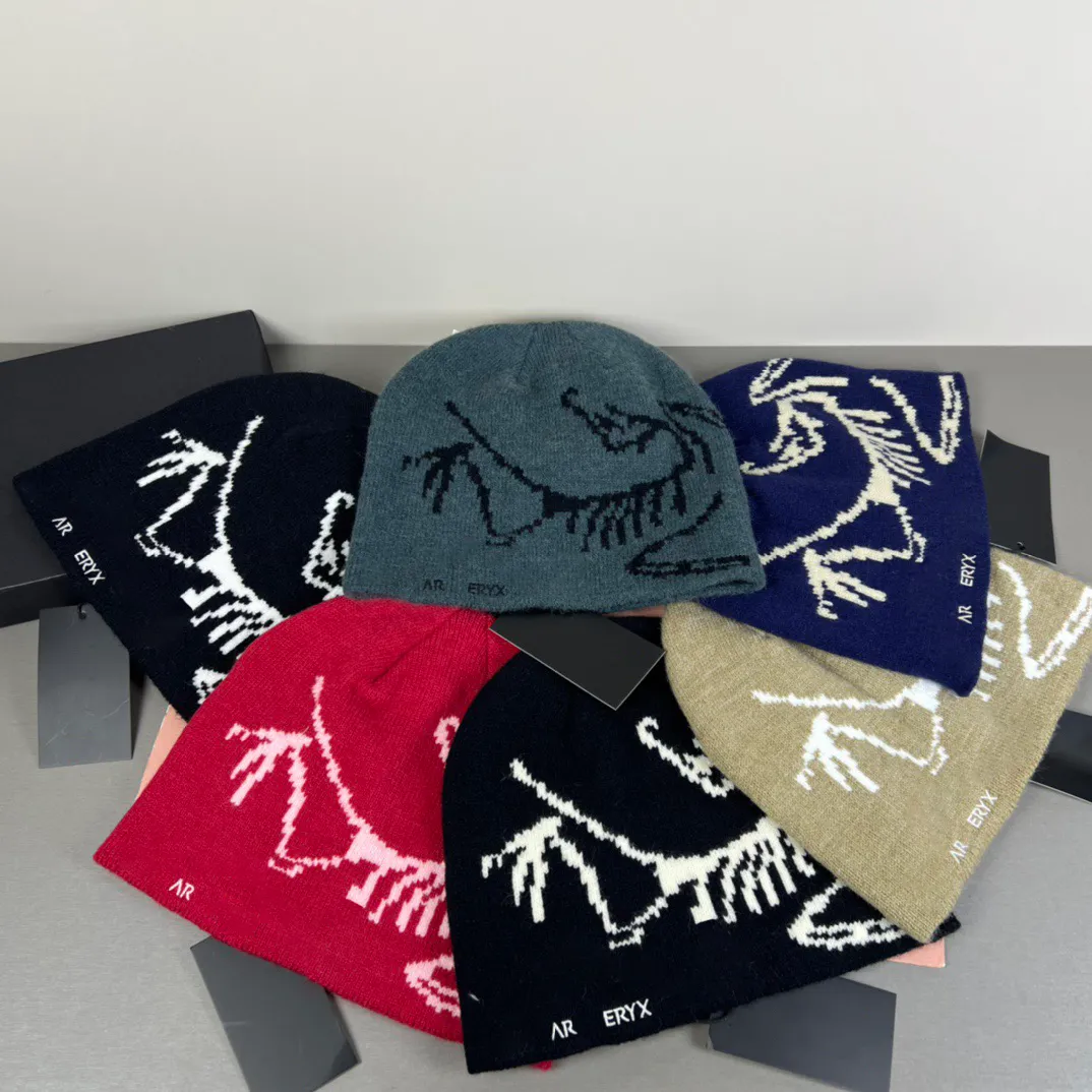 beanie designer wool hat luxury cashmere hat embroidered ancient bird pattern street fashion brand beanie autumn and winter warm ski hats