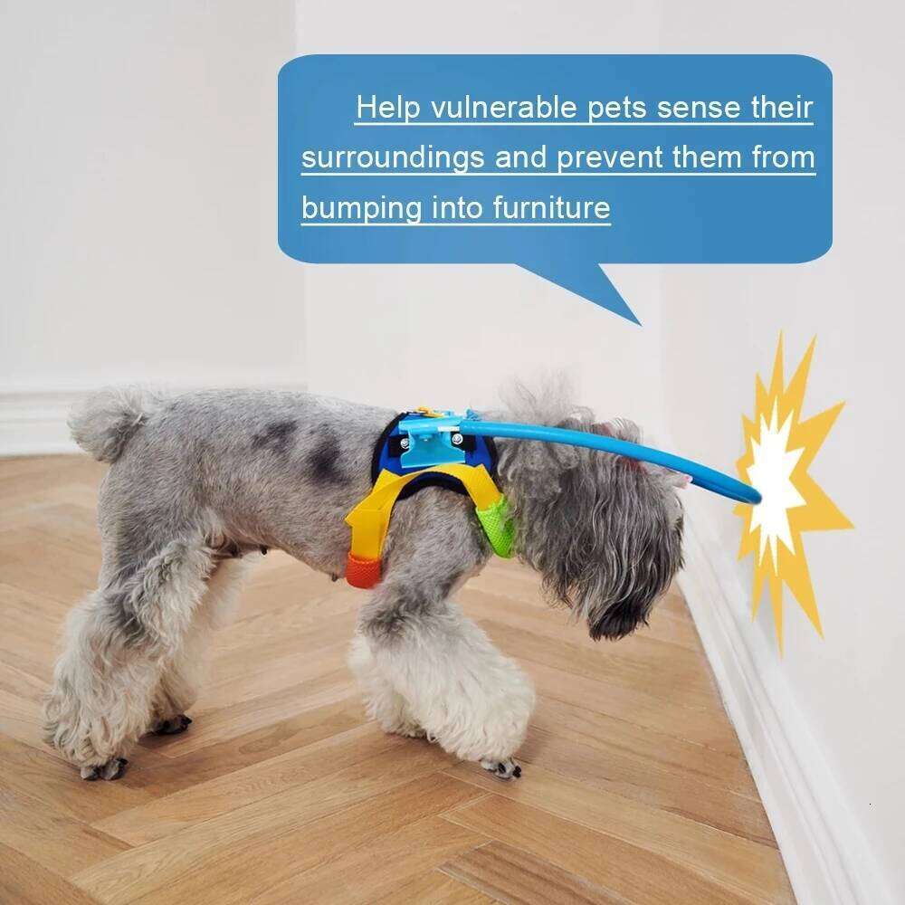 Blind Pet Anti-Collision Collar Dog Safe Halo Harness For Scorpion Cataract Animal Protection Circle Guide Collar, Black Color Bamubi