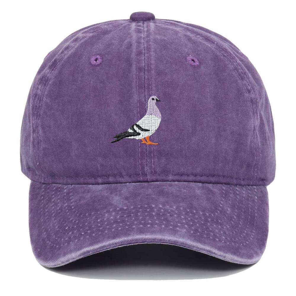 Baseball cap suitable for all seasons, pigeon embroidery pattern, men's and women's daily casual fashion, outdoor sun protection Y260304