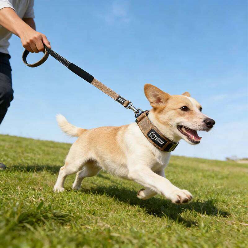 2026 New Heavy Duty Dog Leash Set For Medium Large Dogs Anti-Pull Explosion-Proof Tactical Pet Training Collar Bamubi