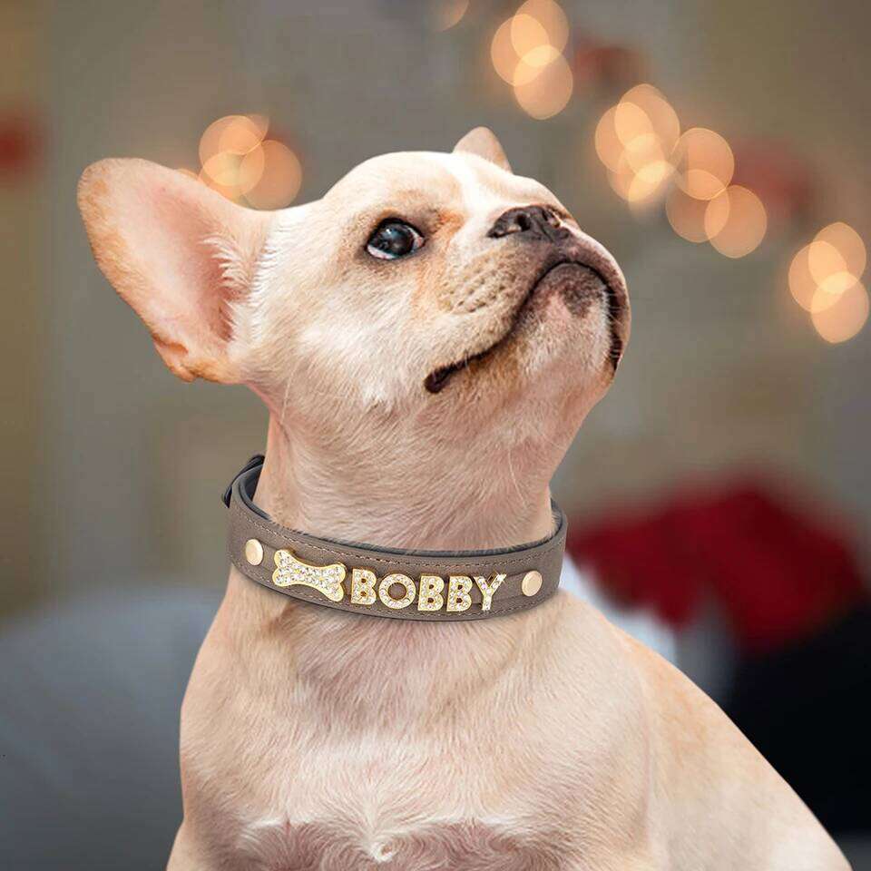 Customized Leather Dog Collar DIY Personalized Small Medium Dogs Chihuahua Pitbull Necklace Free Name Charms Pet Accessories 26Y0301