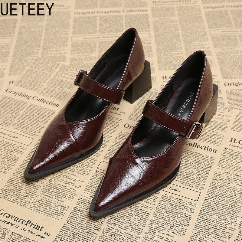 er Vintage Pointed Toe Women Mary Jane Shoes Fashion Shallow Buckle Shoes Spring Ladies Elegant Dress Thick Heel Shoes 260303