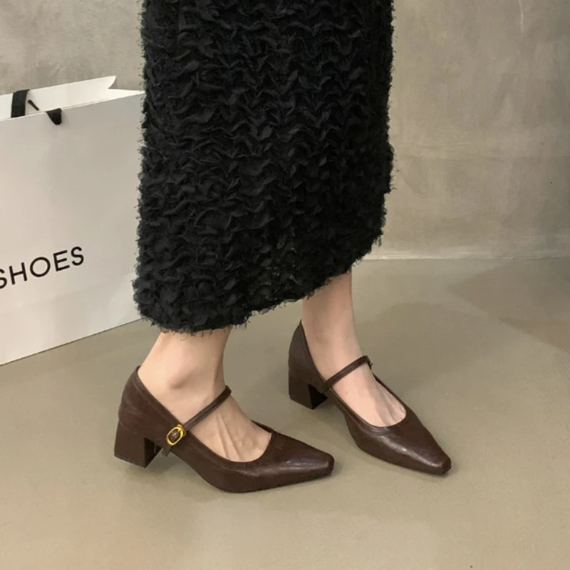 er Square Toe Women Mary Jane Shoes 2026 Spring Shoes Ladies Elegant Buckle Strap Thick Heel Party Dress Pumps 260303