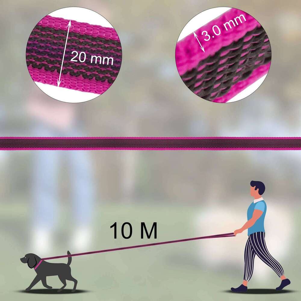 5M/10M/15M Medium small Long Dog Leash Latex Silk Easy and Convenient Training Big Dual color dog leash 10 meters 26Y0301