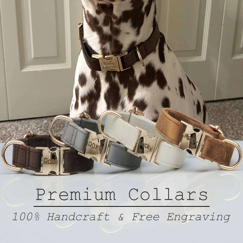 Multiple Colour Velvet Personalise Dog Collar Leash Set With Bow,Brown+Grey+White,Engraved Pet ,Wedding P Bamubi