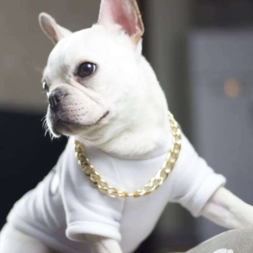 Luxury Gold Pet Necklace Dog Chain Choker For Pitbull Teddy French Bulldog Metal Collar Pets Jewelry Products 26Y0301