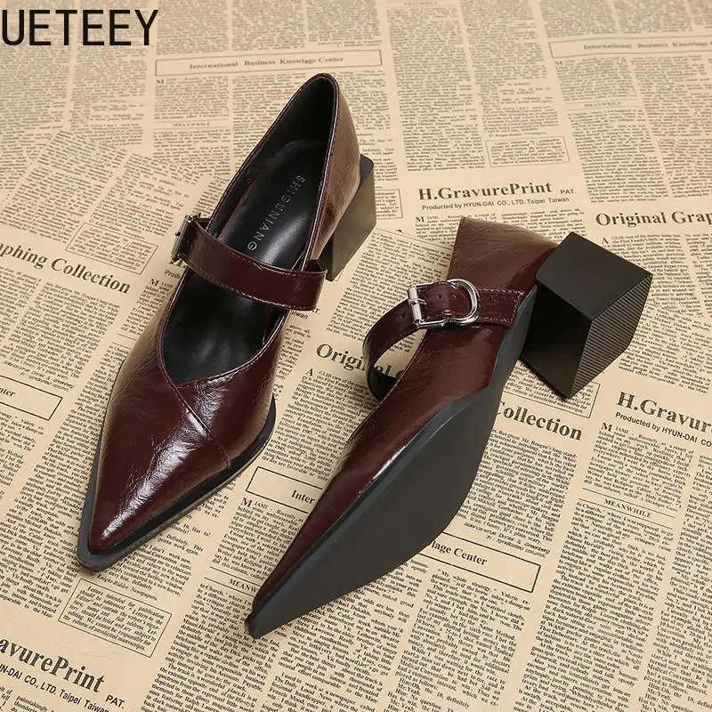Vintage Pointed Toe Women Mary Jane Shoes Fashion Shallow Buckle Shoes Spring Ladies Elegant Dress Thick Heel Shoes 260306