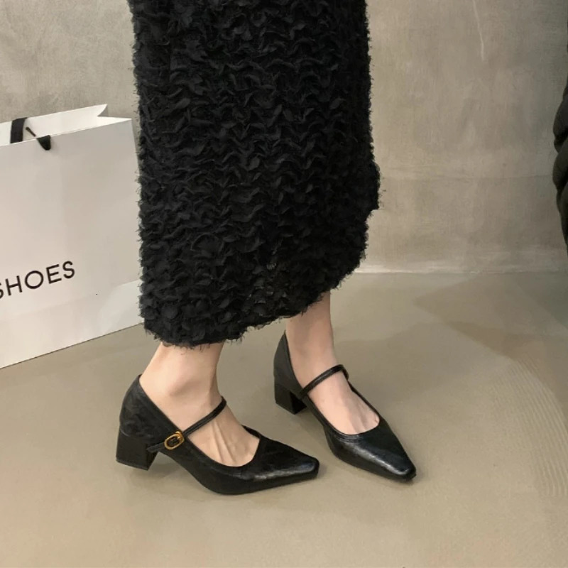 er Square Toe Women Mary Jane Shoes 2026 Spring Shoes Ladies Elegant Buckle Strap Thick Heel Party Dress Pumps 260303