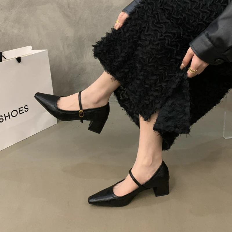 er Square Toe Women Mary Jane Shoes 2026 Spring Shoes Ladies Elegant Buckle Strap Thick Heel Party Dress Pumps 260303