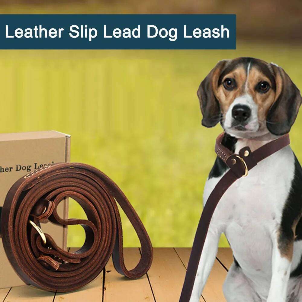 Genuine Leather Slip Rope Strong Heavy Duty Dog No Pull Training Lead Leash Collar For Dogs Bamubi
