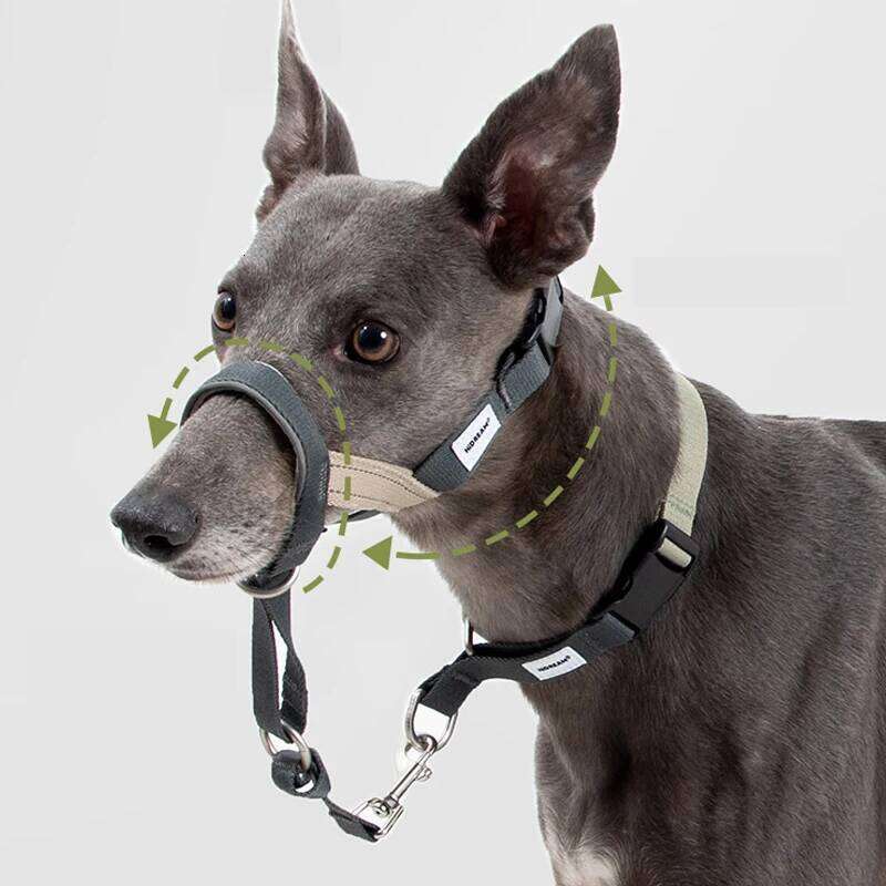 Mouth Anti Barking Bark Collar Dog Adjustable Training Mesh Fabric Explosion-Proof Flushing Control Traction Pet Supplies Bamubi