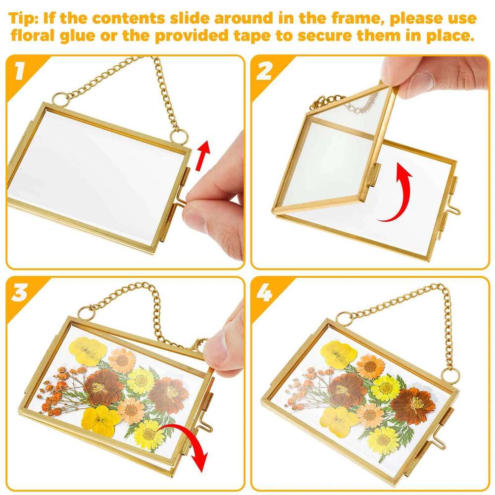 Mini embossed DIY small plant specimen art clip transparent glass metal photo frame set H260306