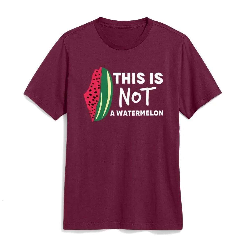This Is Not A Watermelon T-Shirt Collection Palestine Flag Shirt Men Women Unisex Cotton Tops Peaceful Sweatshirt XJ260306