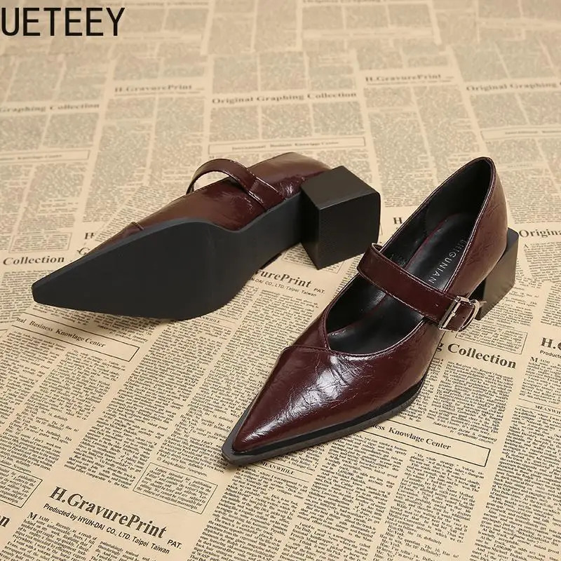er Vintage Pointed Toe Women Mary Jane Shoes Fashion Shallow Buckle Shoes Spring Ladies Elegant Dress Thick Heel Shoes 260303