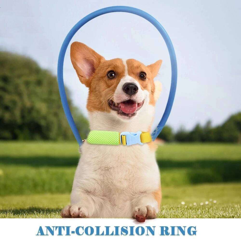 Blind Pet Anti-Collision Collar Dog Safe Halo Harness For Scorpion Cataract Animal Protection Circle Guide Collar, Black Color Bamubi