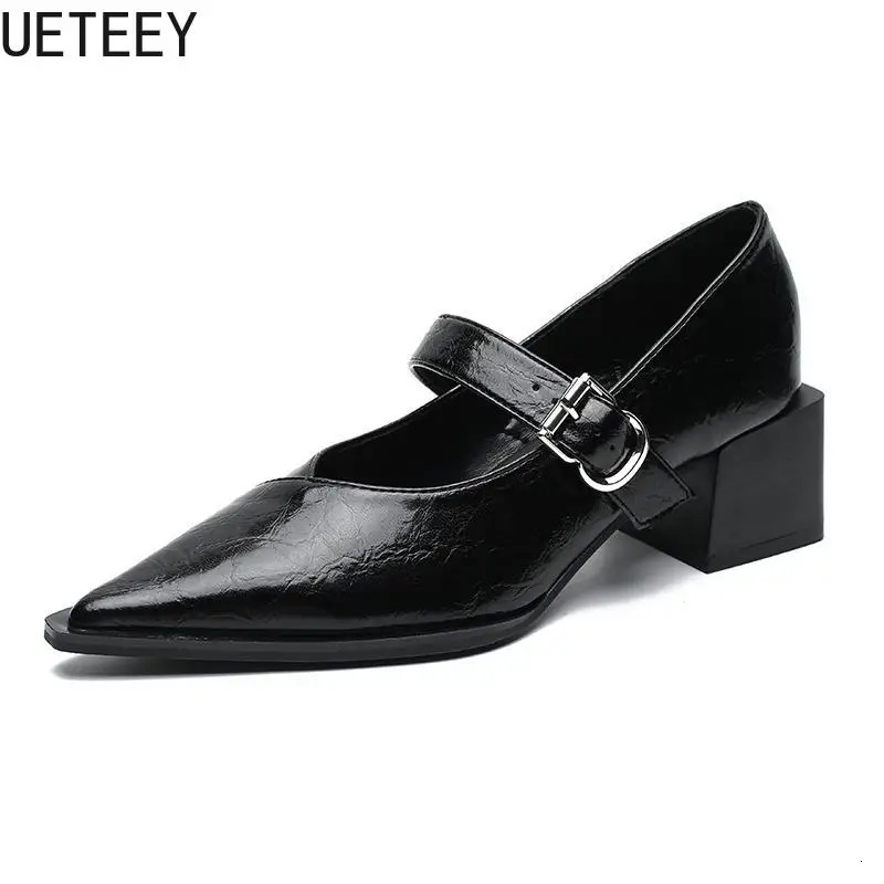 Vintage Pointed Toe Women Mary Jane Shoes Fashion Shallow Buckle Shoes Spring Ladies Elegant Dress Thick Heel Shoes 260306