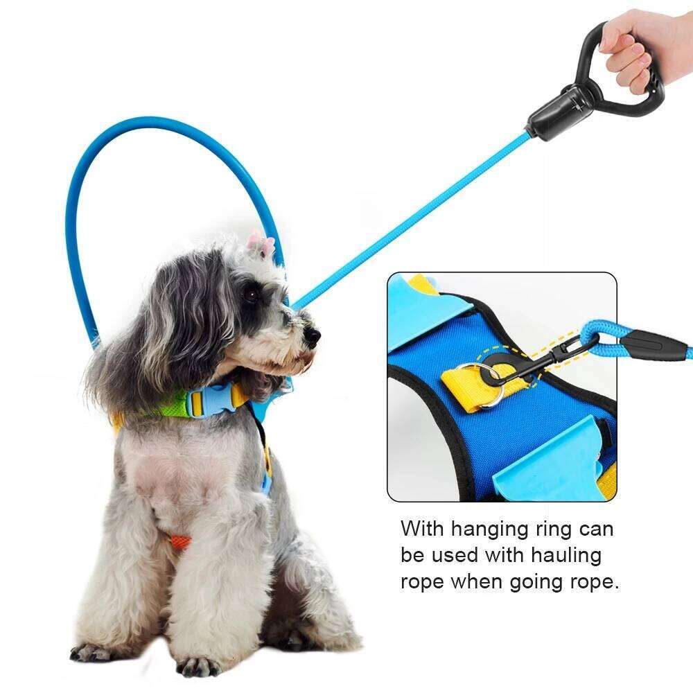 Blind Pet Anti-Collision Collar Dog Safe Halo Harness For Scorpion Cataract Animal Protection Circle Guide Collar, Black Color Bamubi