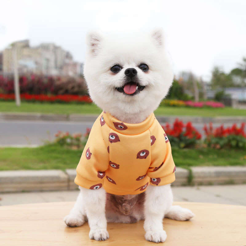 Famous brand Pet French Bulldog Two Legged Clothing Hoodie Spring Autumn Winter Pattern Cat Teddy Supplies Dog Clothes pupakaIK