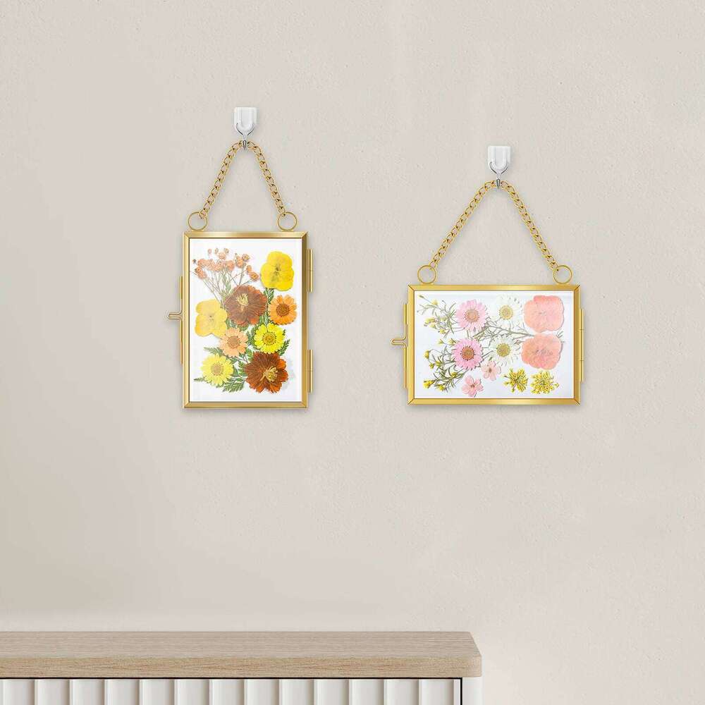 Mini embossed DIY small plant specimen art clip transparent glass metal photo frame set H260306