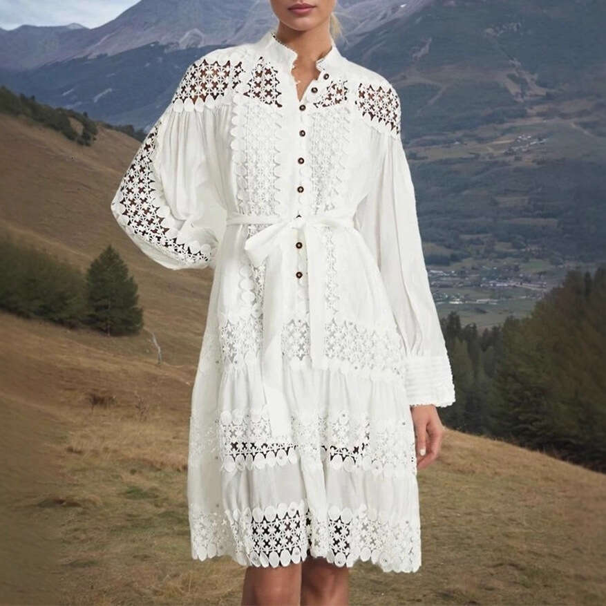 2026 Spring and Autumn Season European and American Niche Lace Hollow Design Loose and Simple Solid Color Shirt Dress