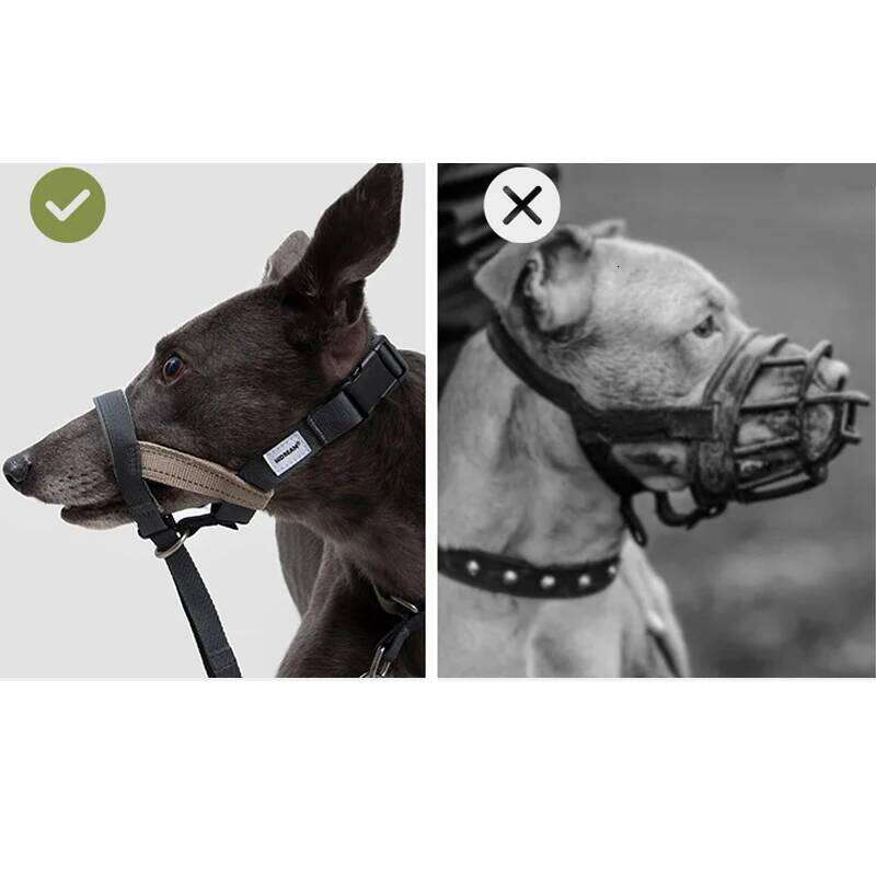 Mouth Anti Barking Bark Collar Dog Adjustable Training Mesh Fabric Explosion-Proof Flushing Control Traction Pet Supplies Bamubi