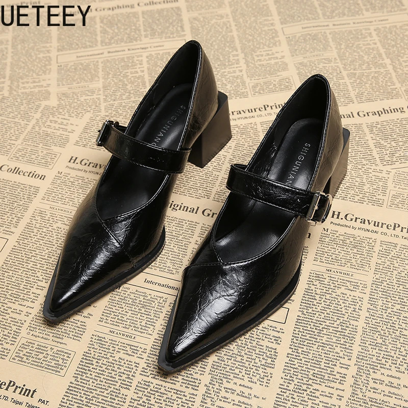 er Vintage Pointed Toe Women Mary Jane Shoes Fashion Shallow Buckle Shoes Spring Ladies Elegant Dress Thick Heel Shoes 260303
