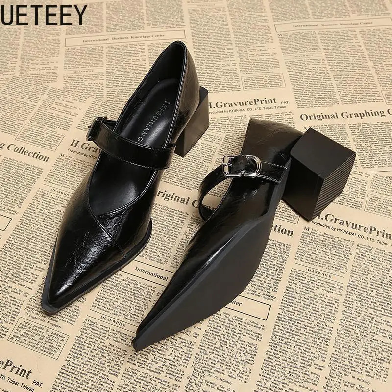 Vintage Pointed Toe Women Mary Jane Shoes Fashion Shallow Buckle Shoes Spring Ladies Elegant Dress Thick Heel Shoes 260306