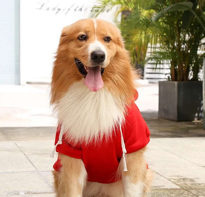 Big Dog Hoodies Clothes 2Xl-5Xl For Medium Large Labrador Golden Retriever Shepherd Husky Autumn Winter Warm Pet Clothing Bamubi