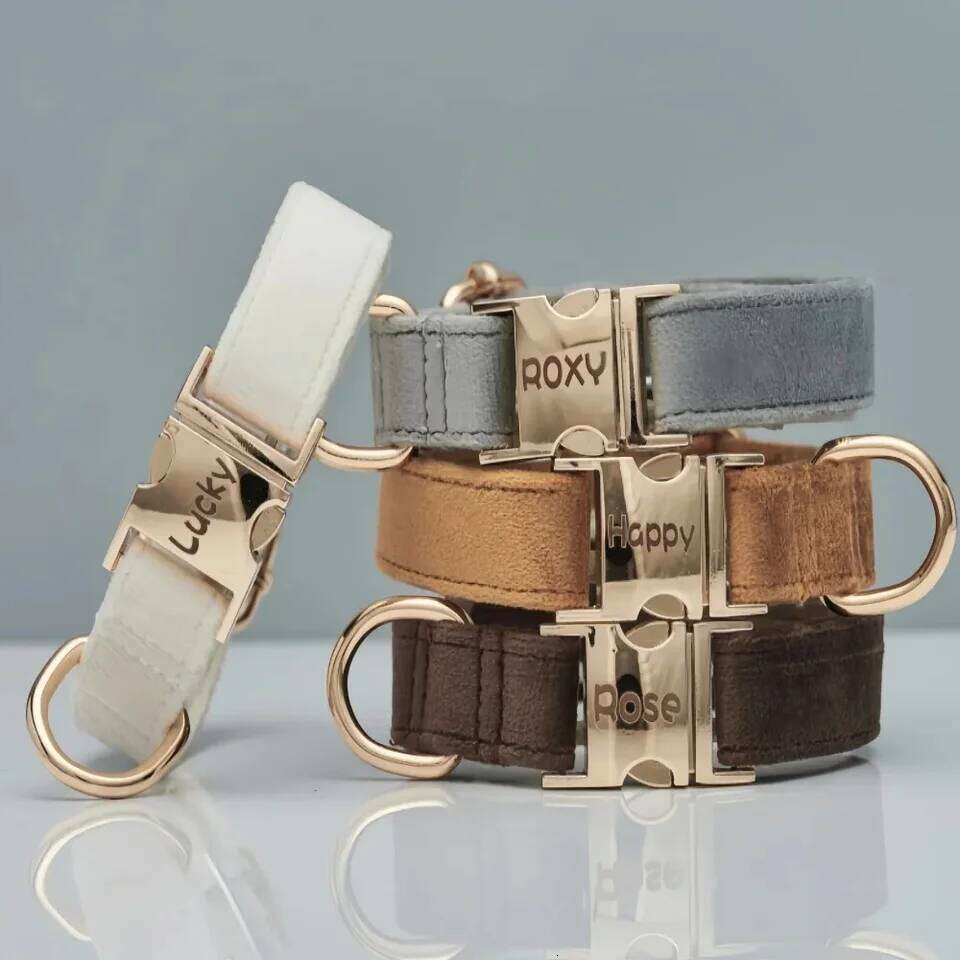 Multiple Colour Velvet Personalise Dog Collar Leash Set With Bow,Brown+Grey+White,Engraved Pet ,Wedding P Bamubi