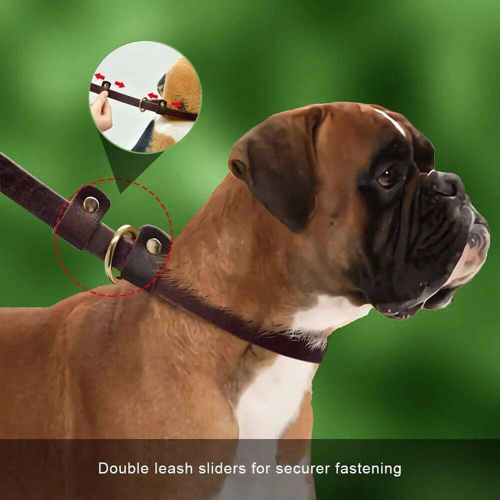 Genuine Leather Slip Rope Strong Heavy Duty Dog No Pull Training Lead Leash Collar For Dogs Bamubi