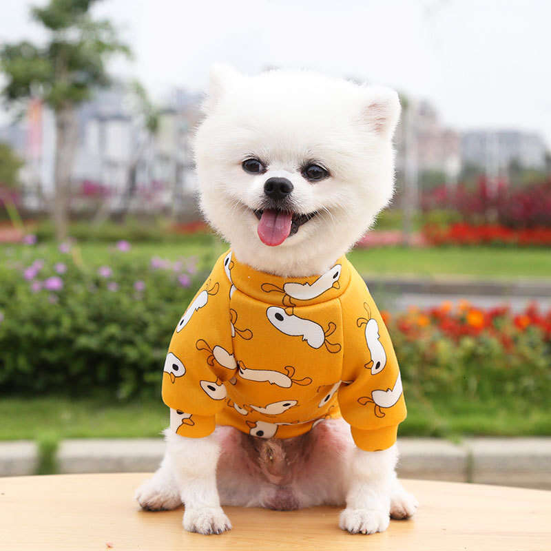 Famous brand Pet French Bulldog Two Legged Clothing Hoodie Spring Autumn Winter Pattern Cat Teddy Supplies Dog Clothes pupakaIK