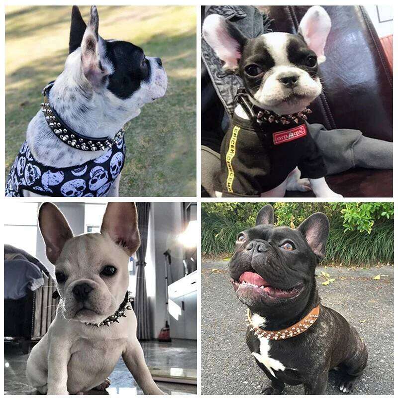 Adjustable collar Neck Strap Supplies PU Leather Punk Rivet Spiked Collar Pet Collars For Small Dog Cat 26Y0301