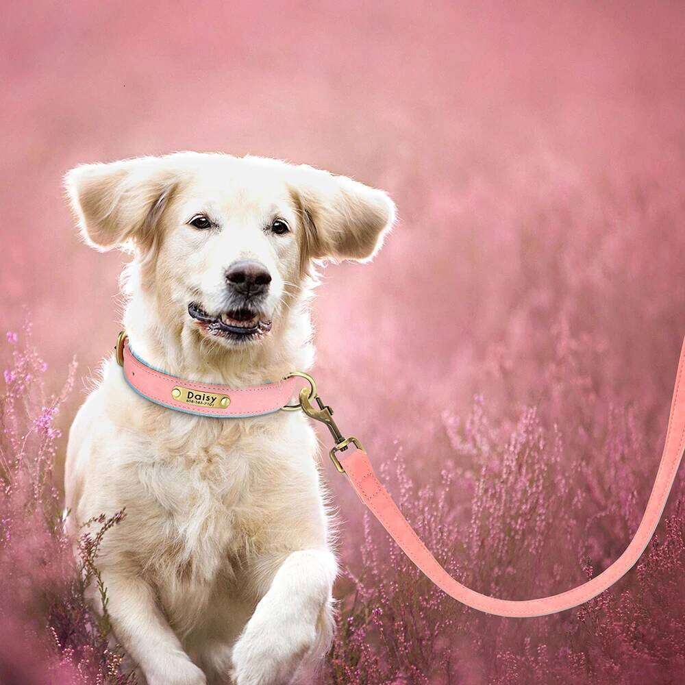 5ft Leather Dog Durable Pet Walking Training Lead Leash Rope for Small Medium Large Dogs Pitbull Pug erman Shepherd 26Y0301