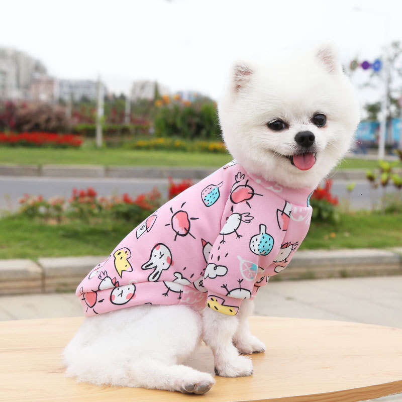 Famous brand Pet French Bulldog Two Legged Clothing Hoodie Spring Autumn Winter Pattern Cat Teddy Supplies Dog Clothes pupakaIK