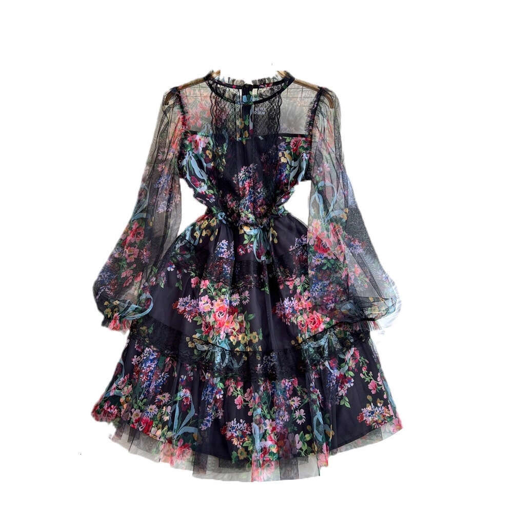 2026 spring A12 and autumn high-end elegant long sleeved round neck waist slimming A-line mesh printed dress