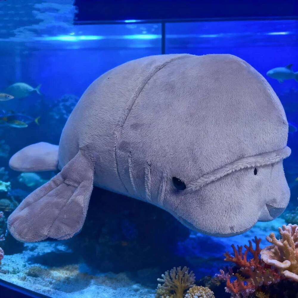 34cm/50cm Kawai Morgan The Plush Toy Gentle Ocean Creature Kids&Marine Life Lovers Huggable Manatee Christmas Gift R260908 - view 4