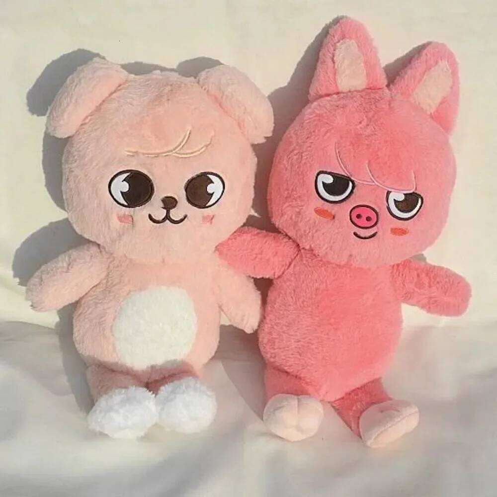 50cm SKZOO Teddy Hug Pillow Fans Plush Toy Seoul FM Week Cloak Doll Magic School Kid Birthday Gift R260908 - view 5