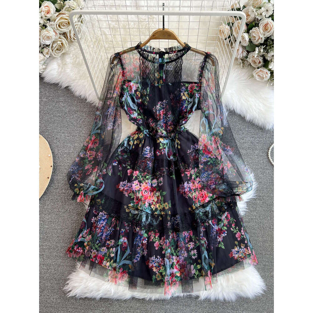 2026 spring and autumn high-end c10 elegant long sleeved round neck waist slimming A-line mesh printed dress
