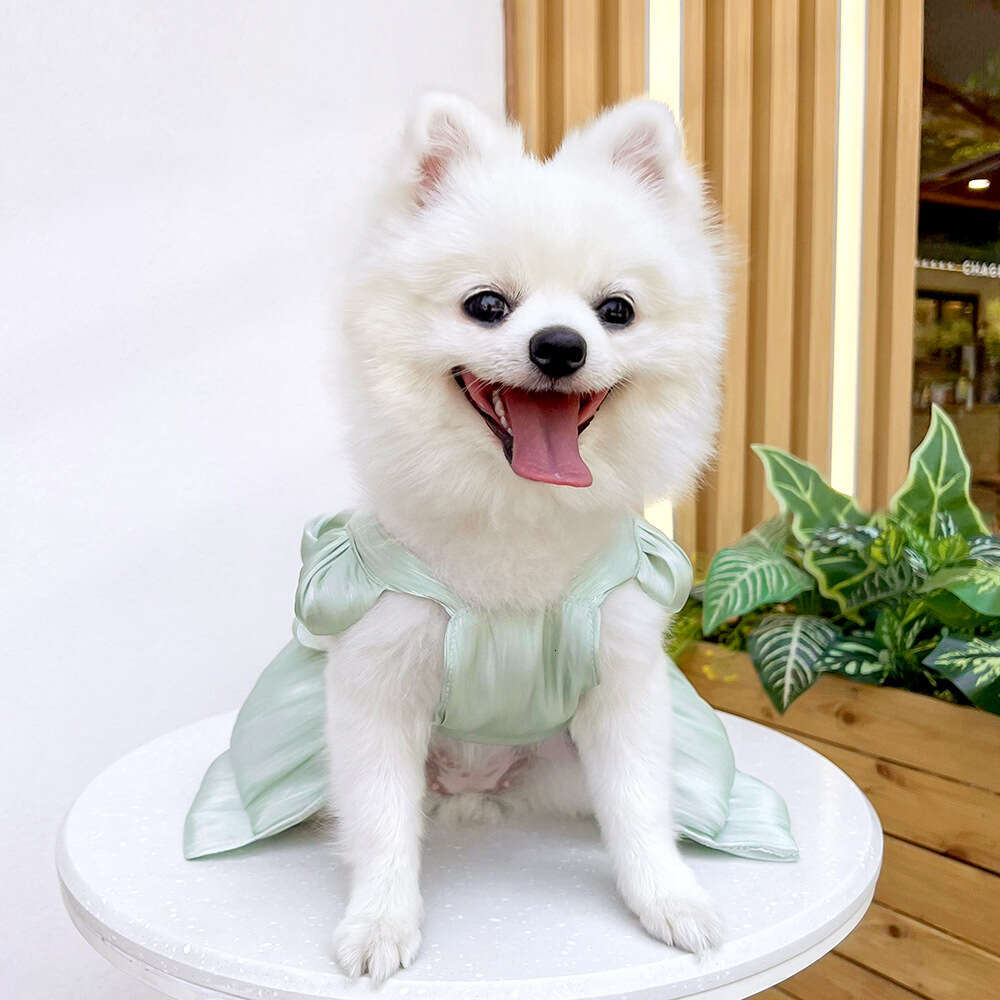 Famous brand Pet Wedding Dress Up Cat Clothes Supplies Dog Leash Teddy Bichon French Bulldog Spring Summer pupakaIK