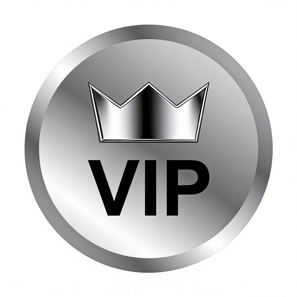 LJN XX-0666 VIP Payment Gateway Complete Purchases, Pay Differences & Priority Logistics VIP service