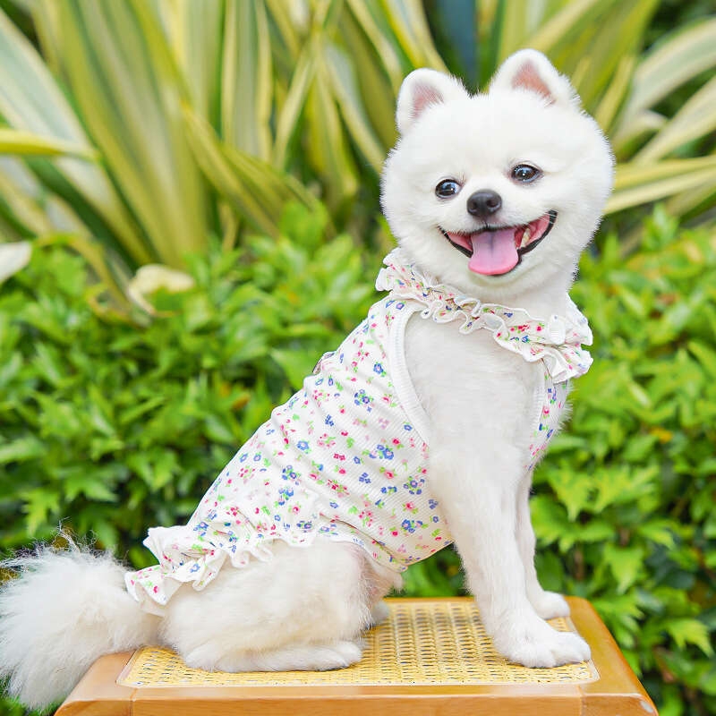 Famous brand Summer pet dog cat clothing floral princess dress thin and breathable wholesale cross border with rolled edges pupakaIK