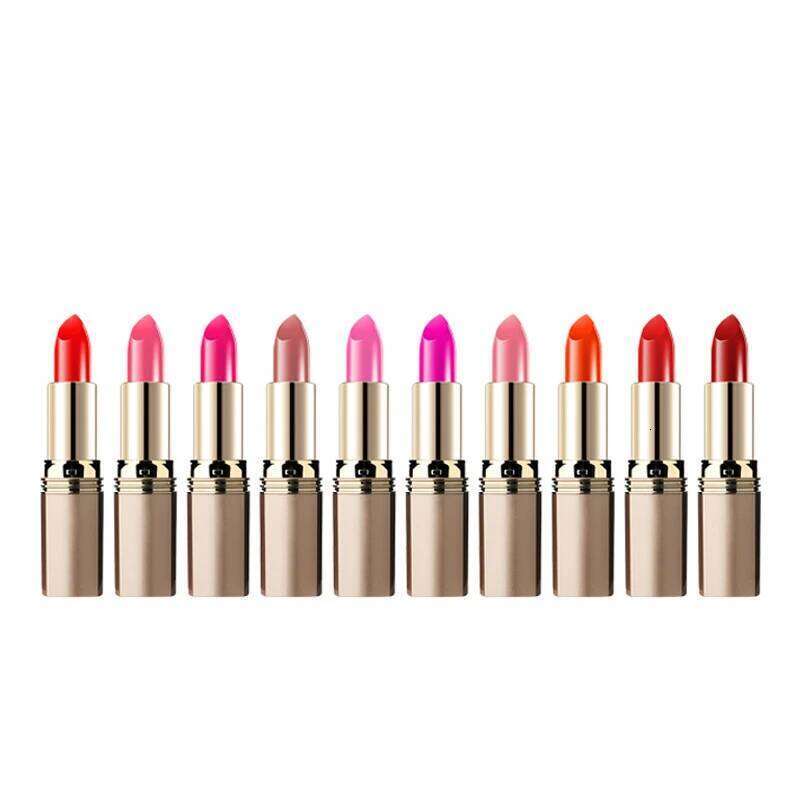 Makeup Matte Lipstick Waterproof 24 Hours Long Lasting Red Lipsticks Resistant Rose Lip Tint Velvet Women Non-Stick Cup Cosmetic Z260310