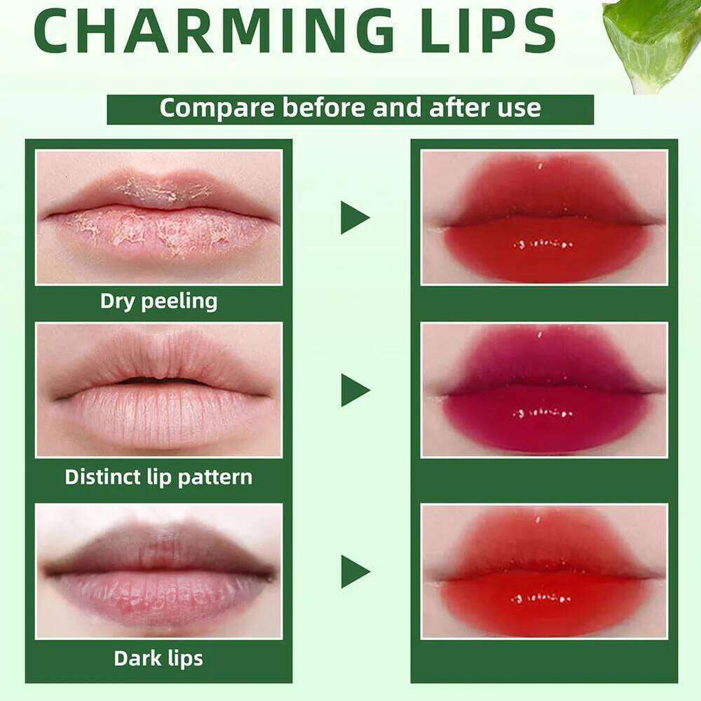 6 Color Set Plumping Liquid Lipstick Aloe Vera Watery Stain Gloss Multi-use Moisturizing Lip & Cheek Tint Z260310